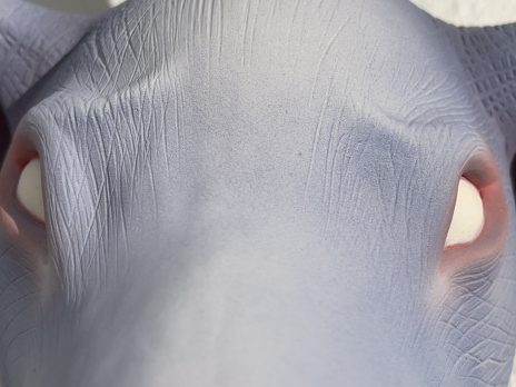 A close-up photo of an artwork depicting an elephant's eyes and forehead area. 