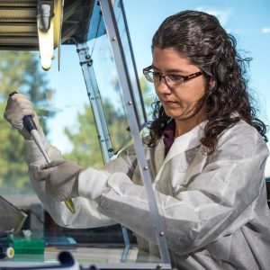 Here is a researcher pipetting at PMI.