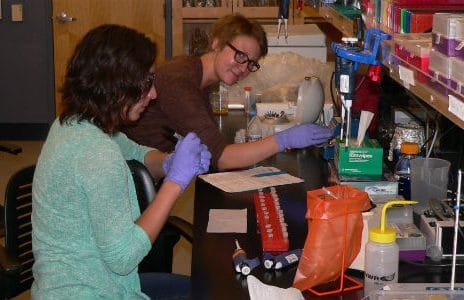 Researchers working in the Schwartz lab at NAU