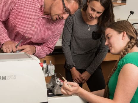 students working with instructor on tissue processing