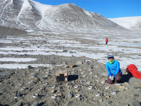 Schwartz lab antarctica