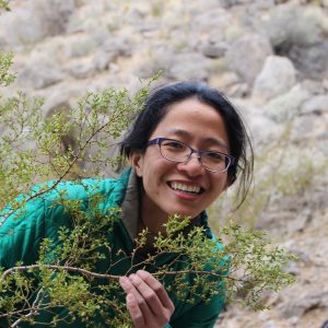 Student holding a creosote bush.
