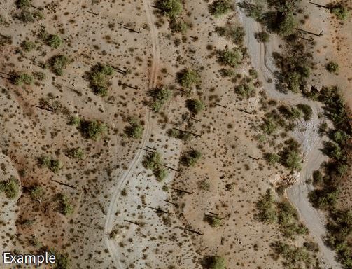 aerial view of sonoran desert used by NAU students