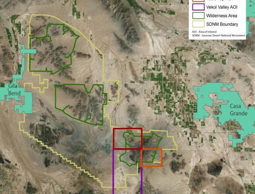 image of sonoran desert