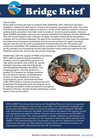 Image of a document page that says Bridge Brief and contains a small circular picture of people sitting around a table