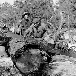 Lumberjacks using motorized crosscut saw 1919-20