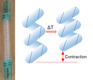 photo of twisted polymer actuators