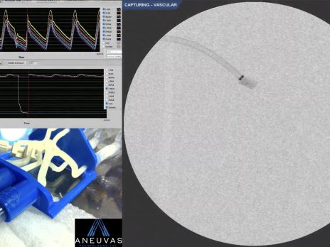 Microscope images of the Bioengineering Devices Lab in vitro suite. 