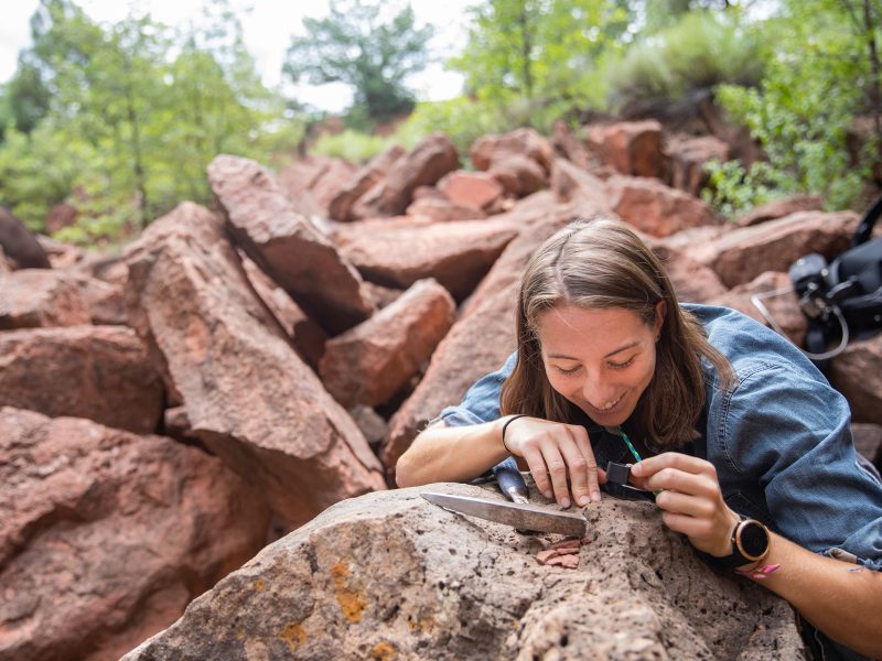 Council on Undergraduate Research