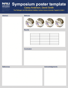 Downloadable example portrait poster template