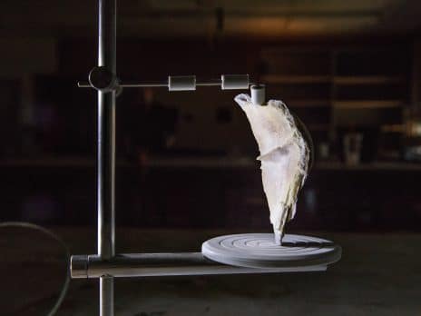 a sliver of ceramic lit dramatically from the left