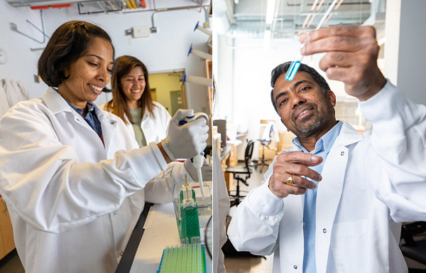 Two photos in one. One left is Archana Varadaraj who is adding fluid into a test tube. She has short dark hair and is wearing a white lab coat and white gloves. In the right photo is Narendiran Rajasekaran. He is looking up at a clear test tube with blue liquid. His is facing the camera and is smiling. He is wearing a white lab coat and has short dark hair&hellip; <a href=