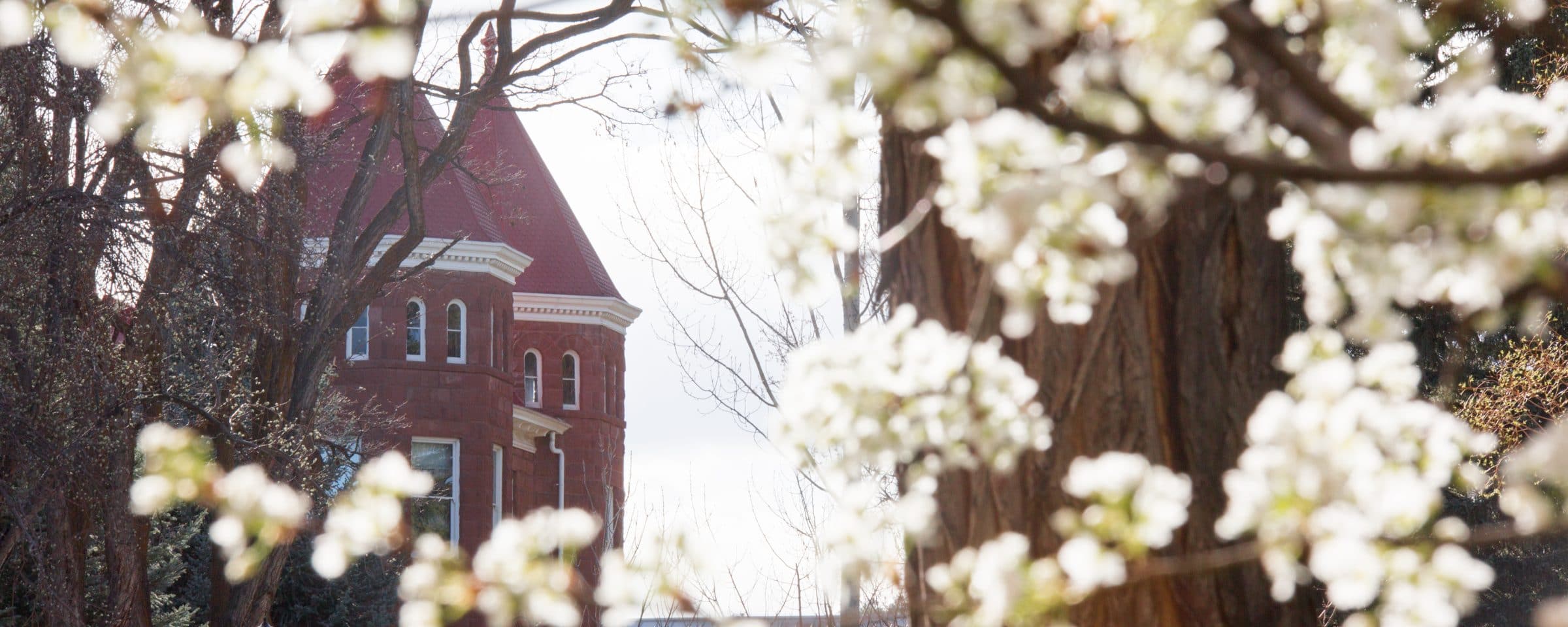 Teaching And Learning Center Teaching And Learning Center