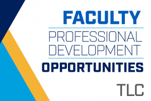 Faculty Professional Development Opportunities