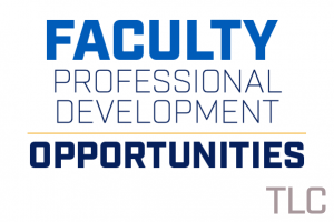 Faculty proffesional development opportunities