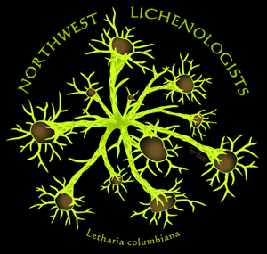 Northwest Lichenologists logo