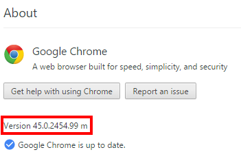 Discovering your System - Chrome - About Version