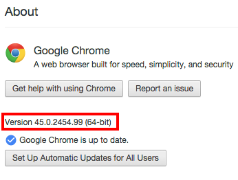 Discovering your System - Chrome_Mac - About Version