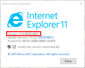 Discovering your System - IE - About Version