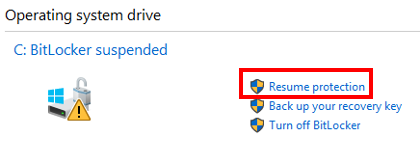 Windows 10 - Resume Protection