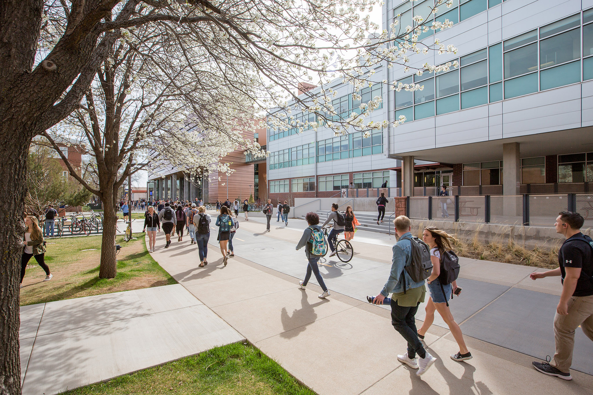 Nau Computer Lab IT Services for Students | Information Technology Services