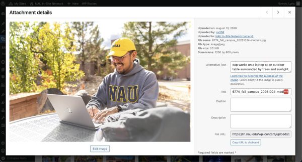 Attachment details screenshot with an image and its alt text, title, caption, description, and url fields. 