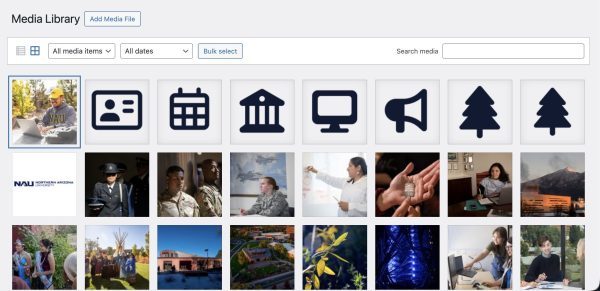 Media Library screenshot showing a grid of photo thumbnails with filters for date and keyword.