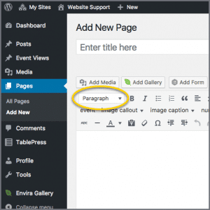 Dashboard with paragraph menu highlighted
