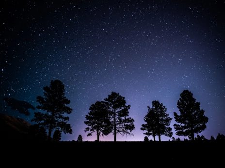 Purple and blue night sky with stars and trees silhouette 