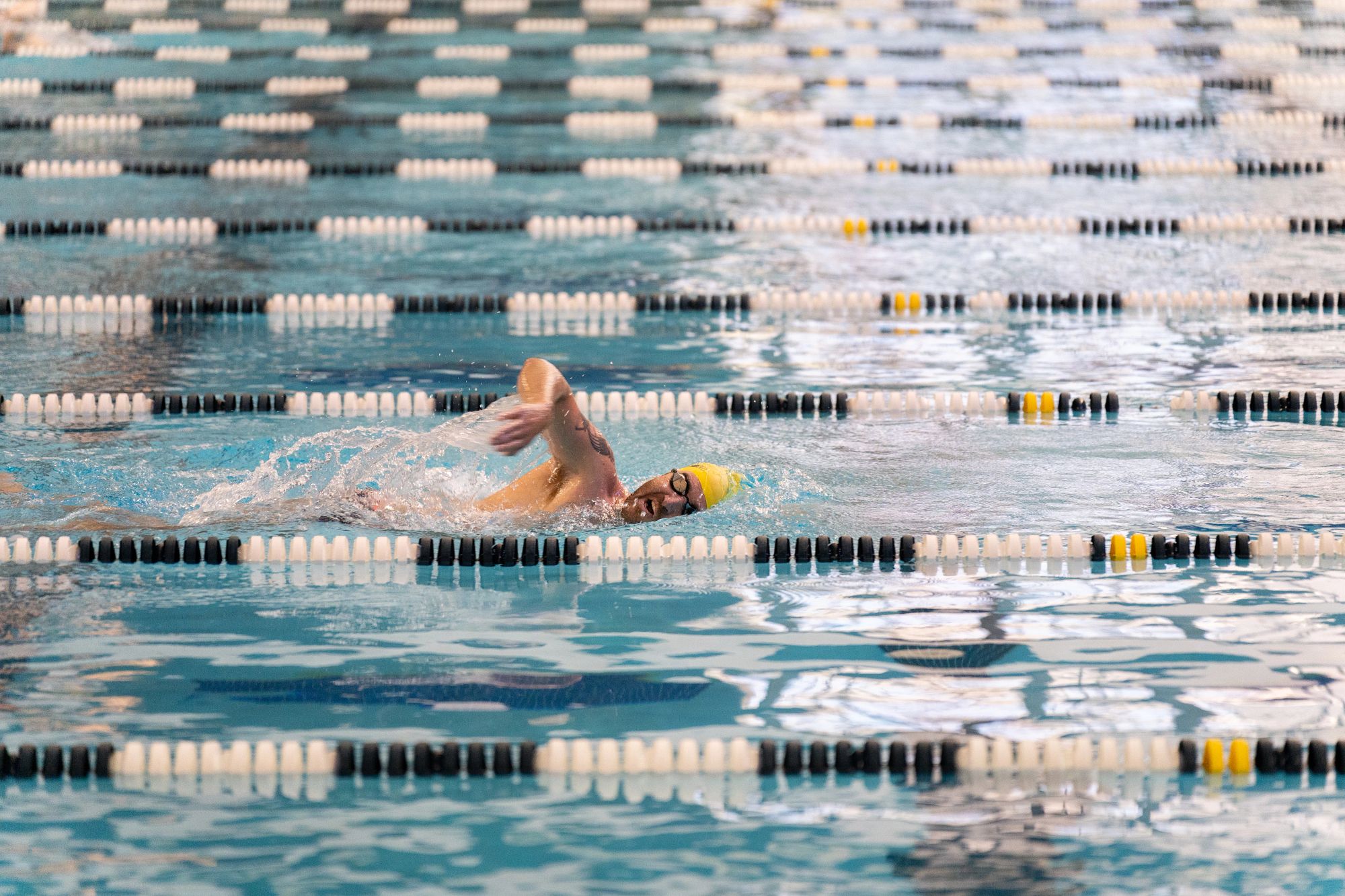 Masters Swimming Campus Services And Activities 