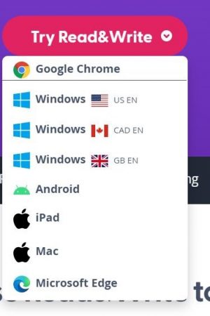 screen shot of Try Read & Write button on TextHelp website