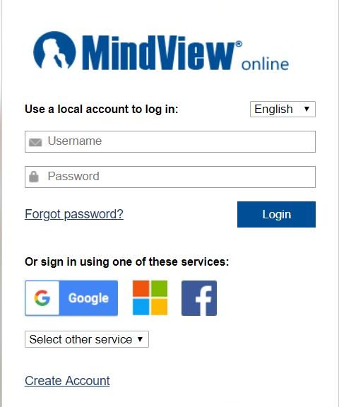 mindview 6 business