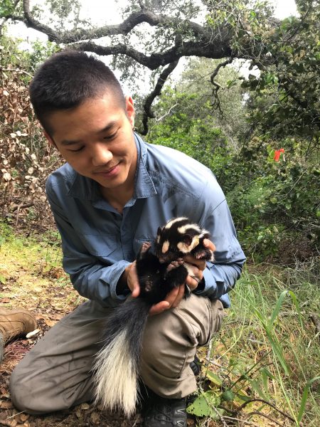 Victor with a spotted skunk
