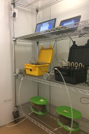 Experimental set up at Frank´s lab