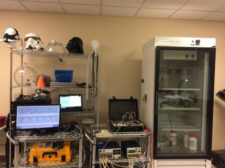 Experimental setup at Sable Systems