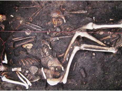 Skeletons in a mass grave