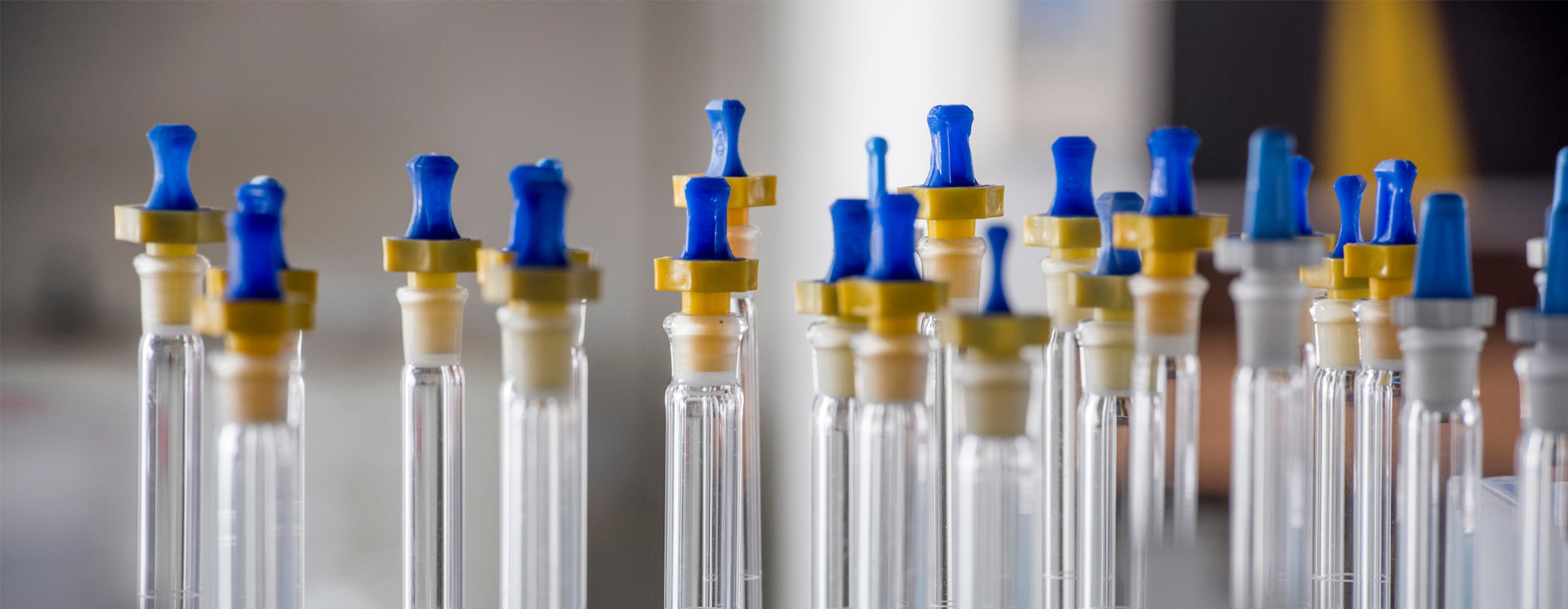 Research | The Pathogen & Microbiome Institute