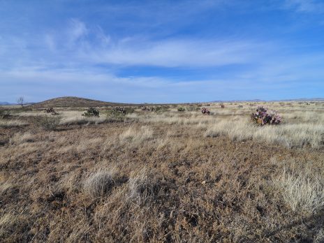 Desert ecosystem wind erosion landscape 