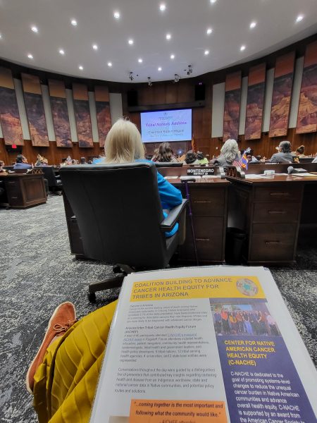 Document sits on a person's lap with golden yellow skirt and rust colored moccasins with the Arizona legislative room in the background