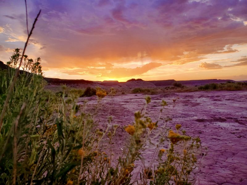Landscape photo of Oljato, Utah