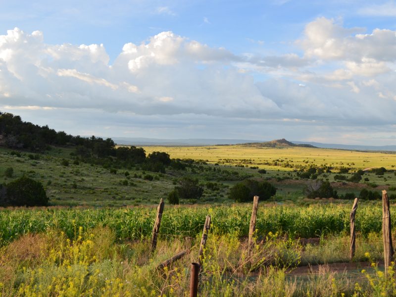 Landscape photo of Pinehill, New Mexico