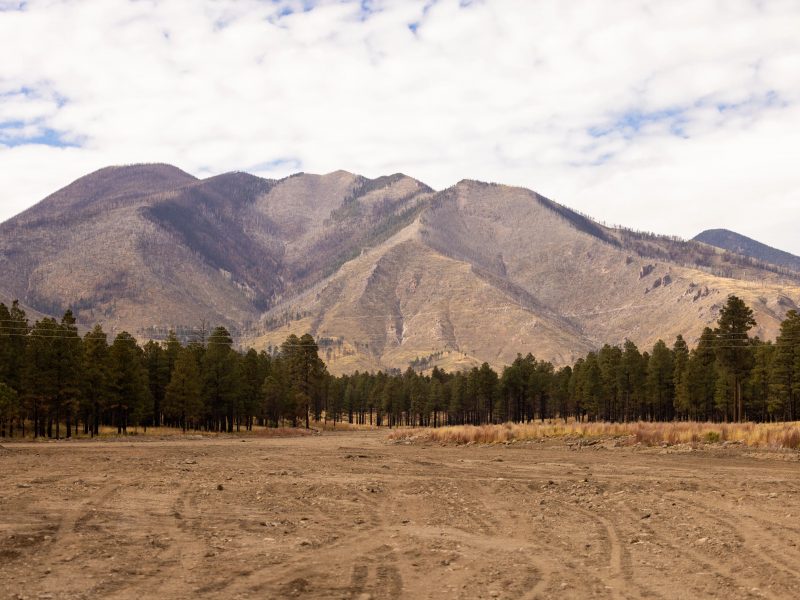 Landscape of a field, trees, and mountains in the background.