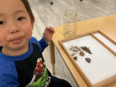 Child with tray of rocks and sand to examine. The child is looking at the camera.