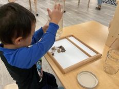 Child shaking a jar of rocks onto a board for examination.