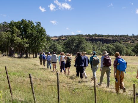 Students walking through a field on a triail behind one another at the NAU Hat Ranch.
