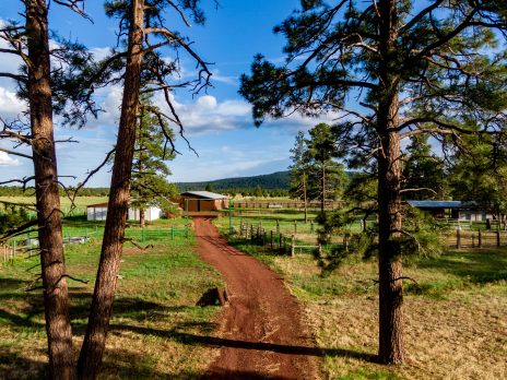 View down a dirt road and into the NAU Hat Ranch.
