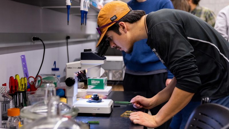 Student with baseball cap looking at a device in the imaging lab.