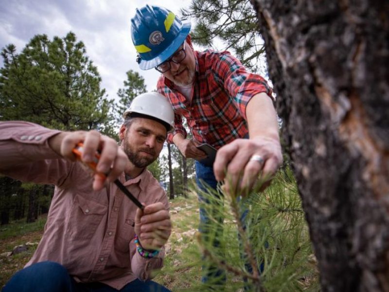 Andrew Sanchez and a student wearing hard hats conduct fieldwork in a forest.