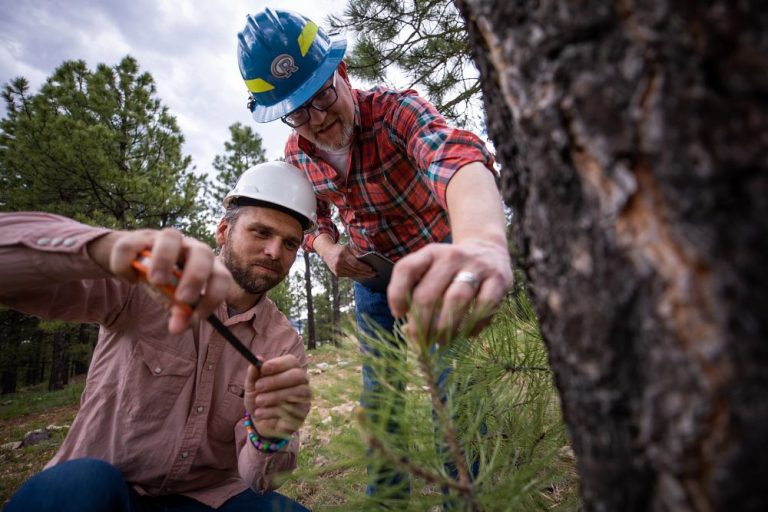 Andrew Sanchez and a student wearing hard hats conduct fieldwork in a forest.
