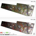 Climate Change and Plant Community Composition in the Southwestern US